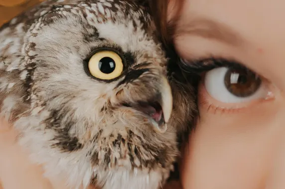 Casino Palace of Chance Ondersteuning